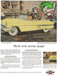 Chevrolet  1954 23.jpg